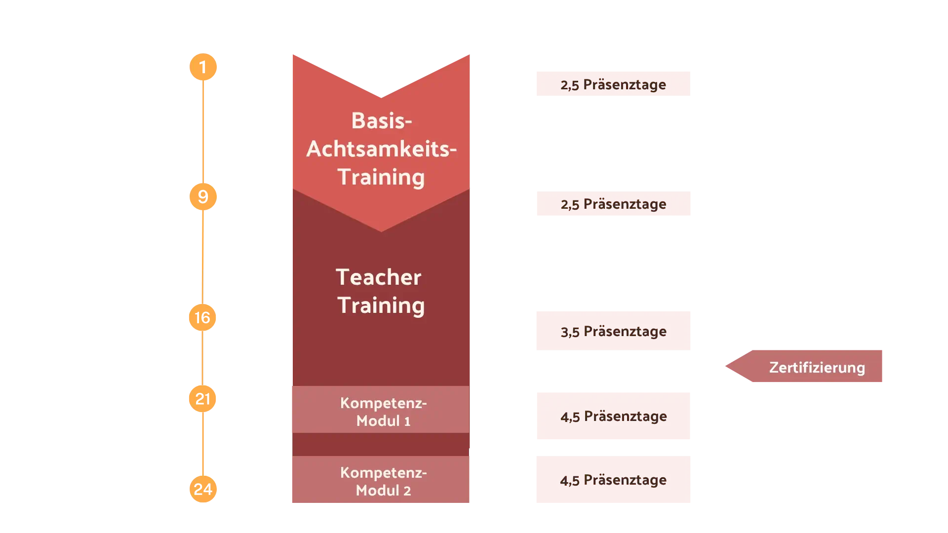 Zeitstrahl der TARA Achtsamkeitstrainer-Ausbildung: Basis-Achtsamkeitstraining und Teacher Training mit Kompetenzmodulen über 24 Monate bis zur Zertifizierung